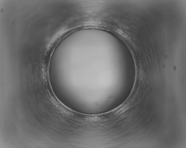 X0000054451454200508011416