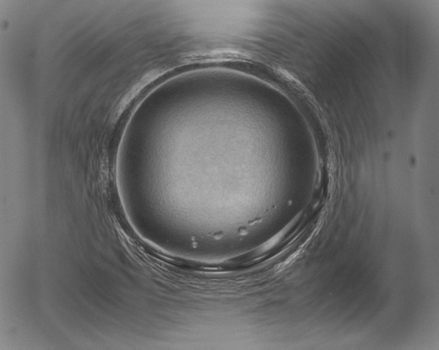 X0000054451457200508011416
