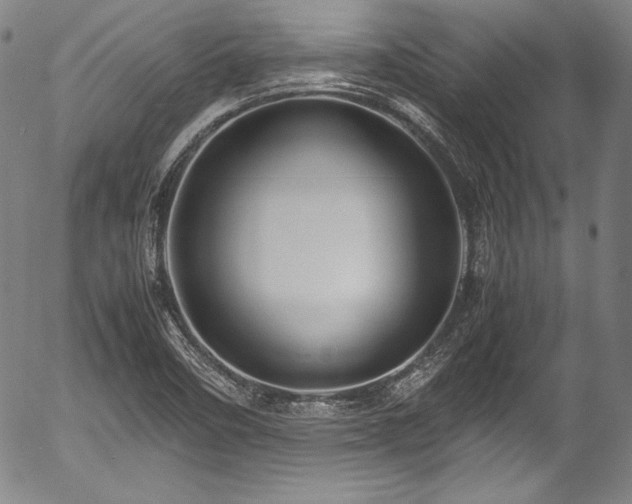 X0000054451458200508011416