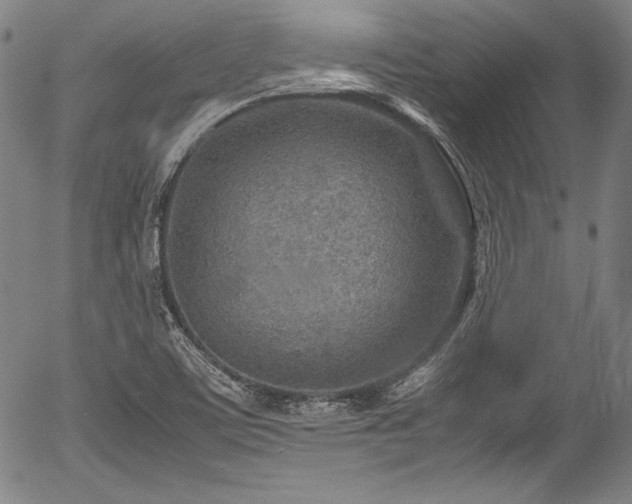 X0000054451459200508011416