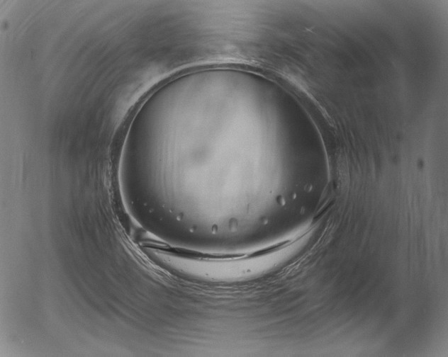 X0000054451460200508011416
