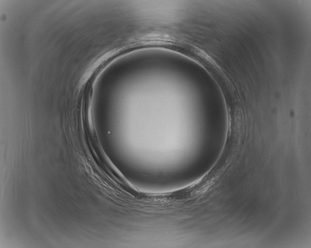 X0000054451461200508011416