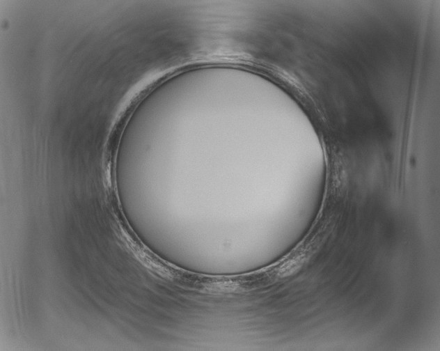 X0000054451462200508011416