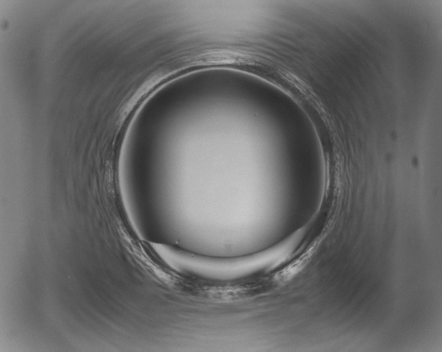 X0000054451465200508011416