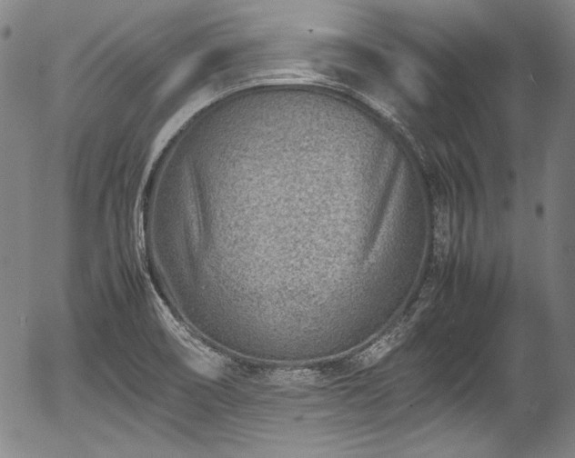 X0000054451466200508011416