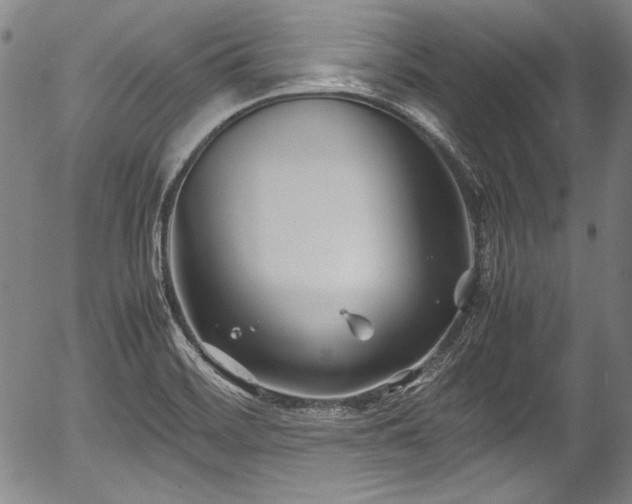 X0000054451468200508011416