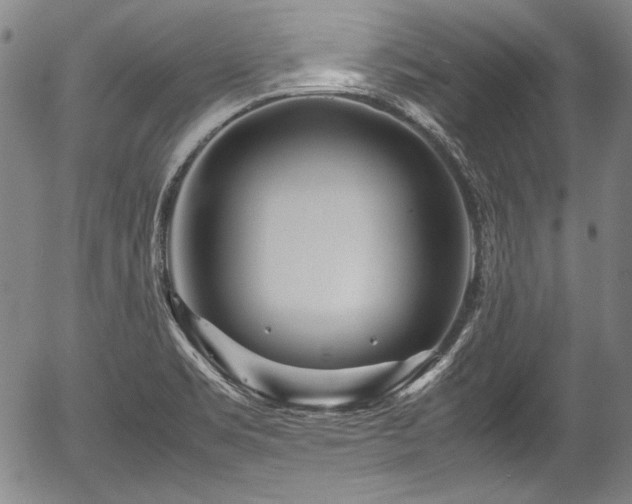 X0000054451469200508011416