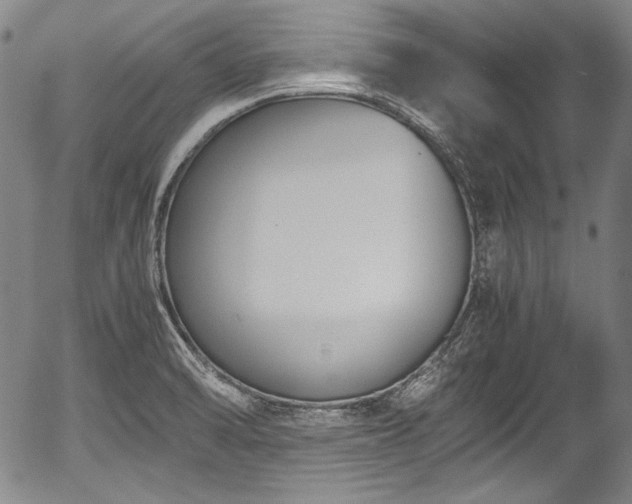 X0000054451470200508011416