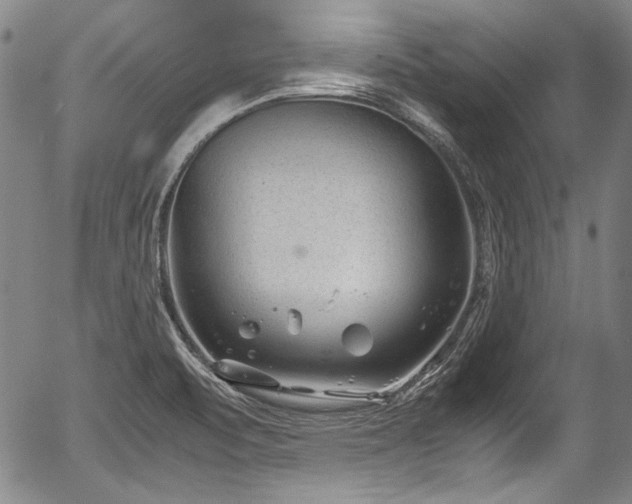 X0000054451471200508011416