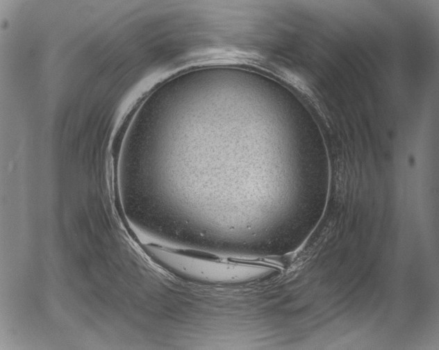 X0000054451472200508011416