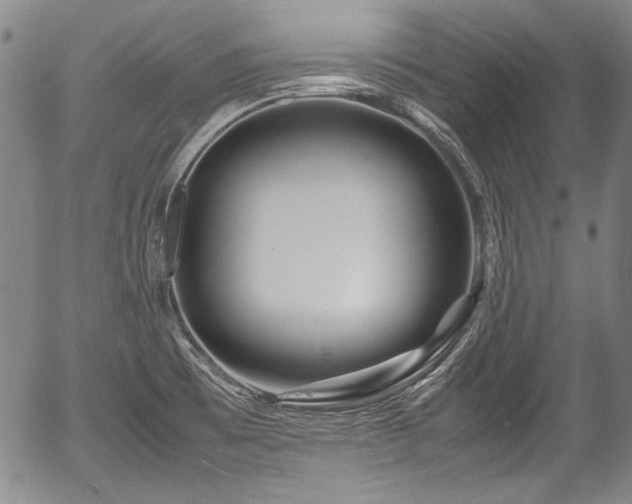 X0000054451473200508011416