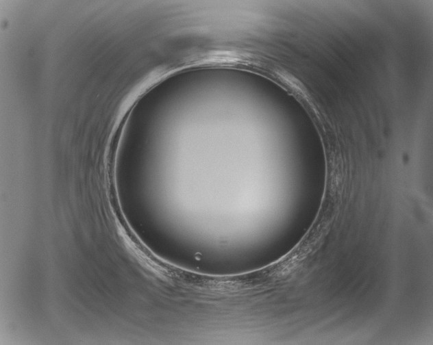 X0000054451475200508011416