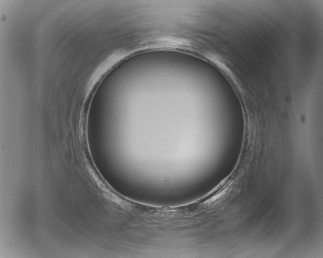 X0000054451477200508011416