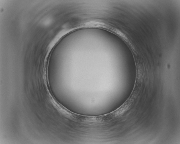 X0000054451478200508011416