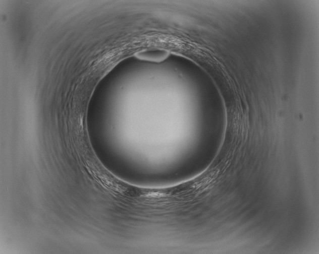 X0000054451489200508011415