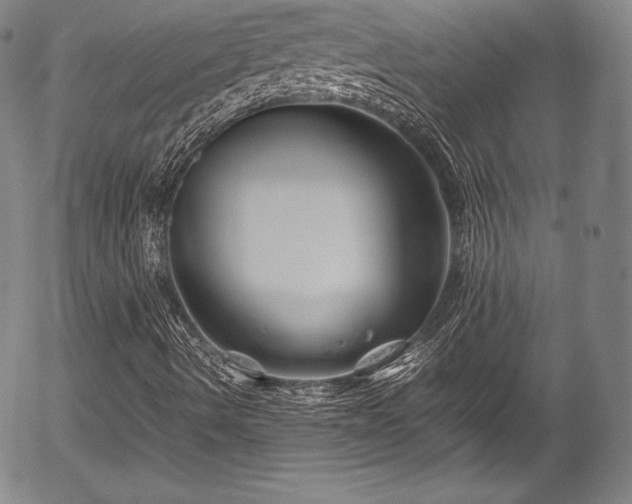 X0000054451490200508011415