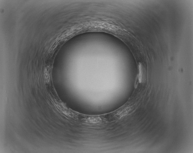 X0000054451491200508011415