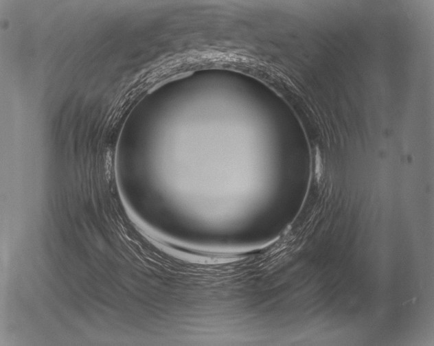 X0000054451492200508011415