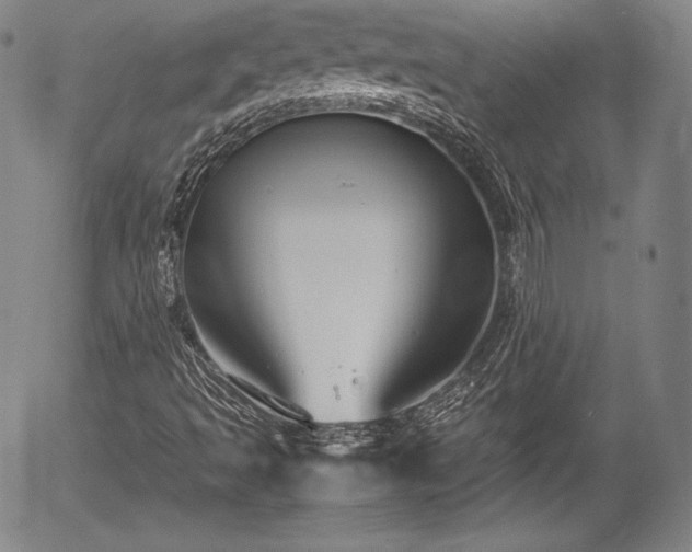 X0000054451493200508011415