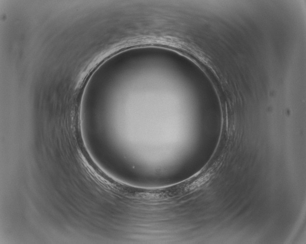 X0000054451500200508011415