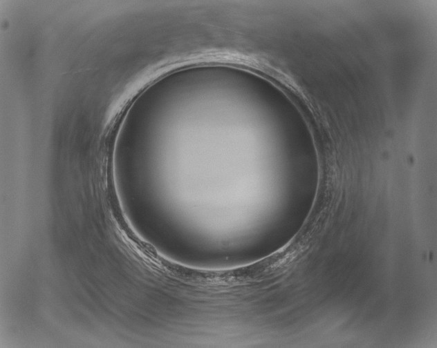 X0000054451504200508011415