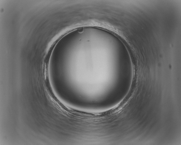 X0000054451510200508011415
