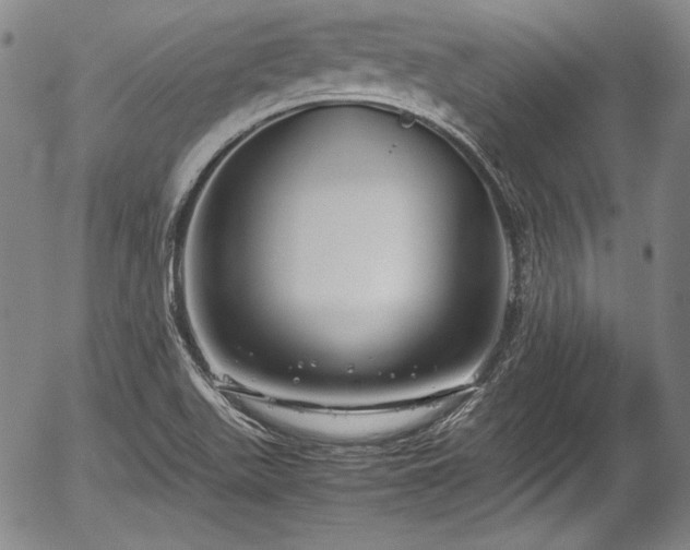 X0000054451511200508011415