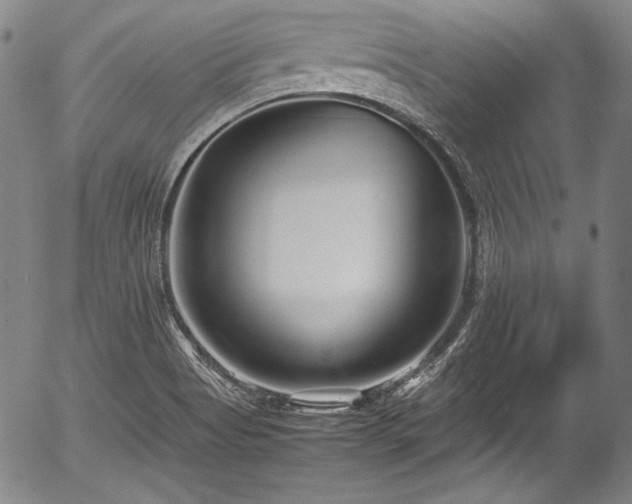 X0000054451513200508011415