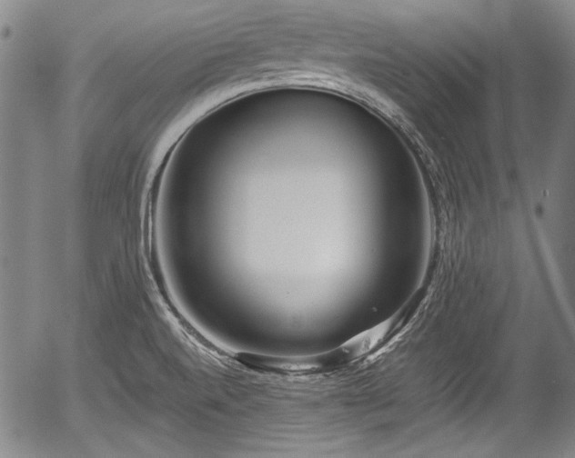 X0000054451520200508011416