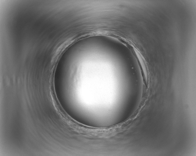 X0000054450001200508051937