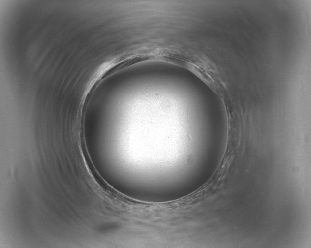 X0000054450003200508051937