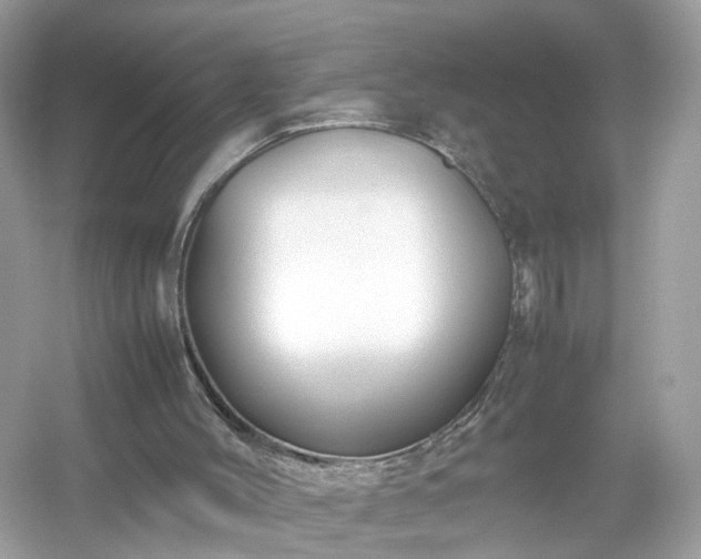 X0000054450004200508051937