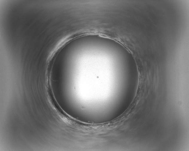 X0000054450005200508051937