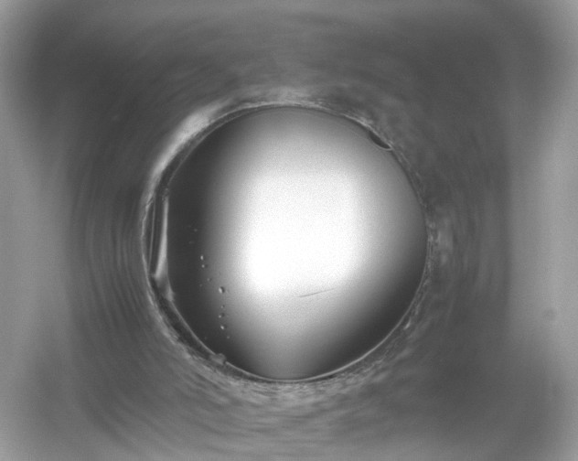 X0000054450006200508051937
