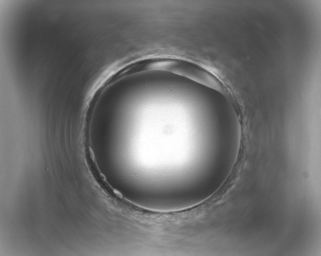 X0000054450007200508051937