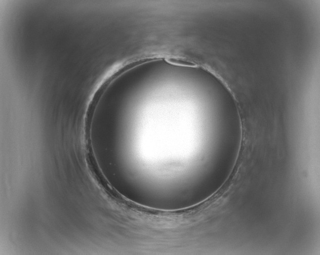 X0000054450008200508051937