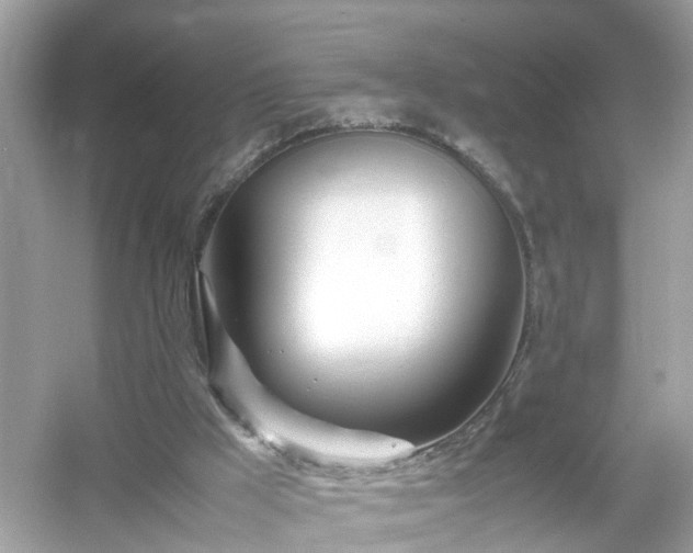 X0000054450009200508051937