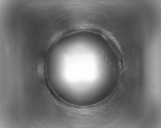 X0000054450010200508051937