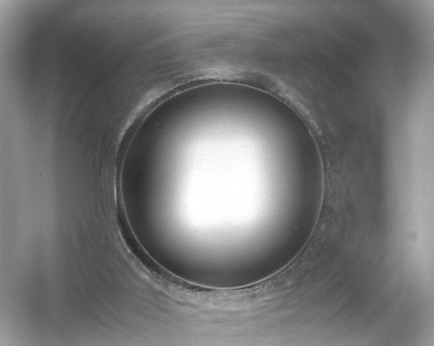 X0000054450011200508051937