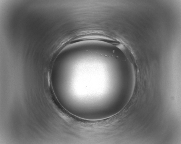 X0000054450013200508051937