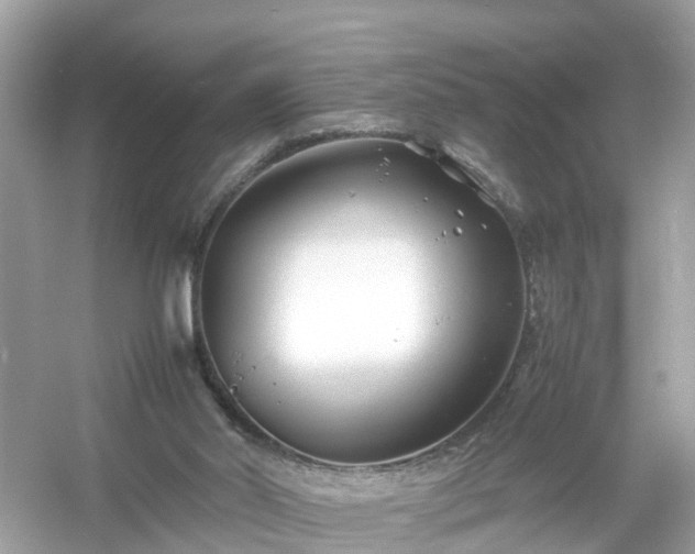 X0000054450014200508051937