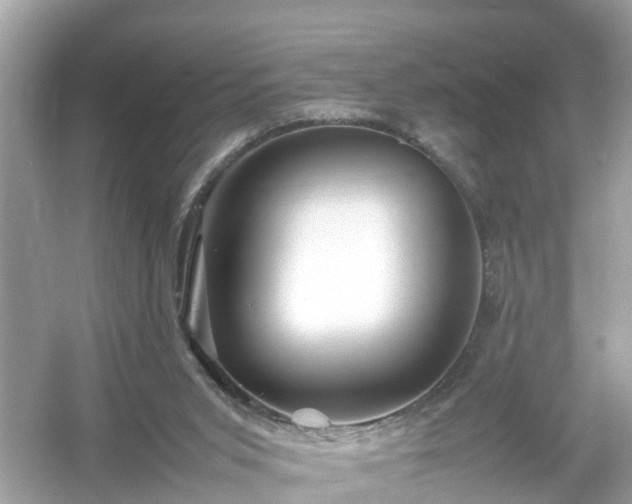 X0000054450015200508051937