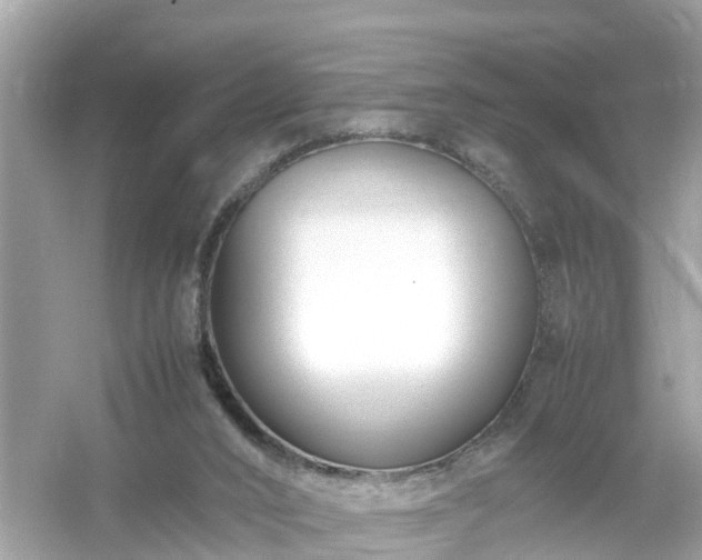 X0000054450016200508051937