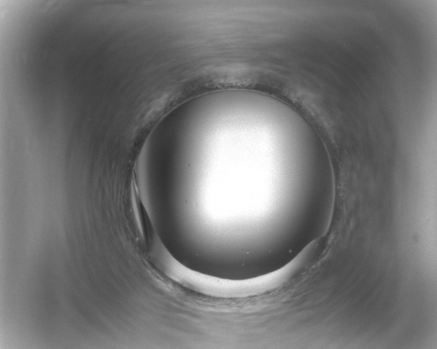 X0000054450017200508051937