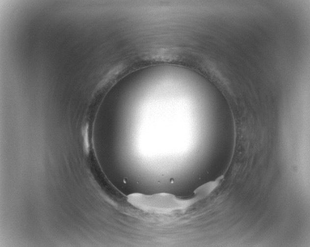 X0000054450020200508051936