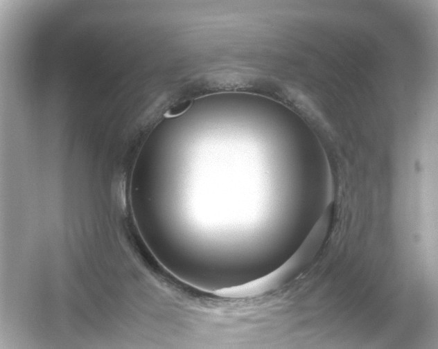 X0000054450021200508051936