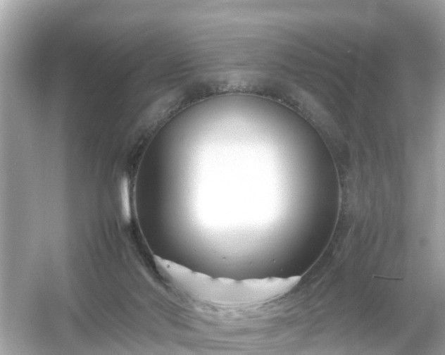 X0000054450022200508051936