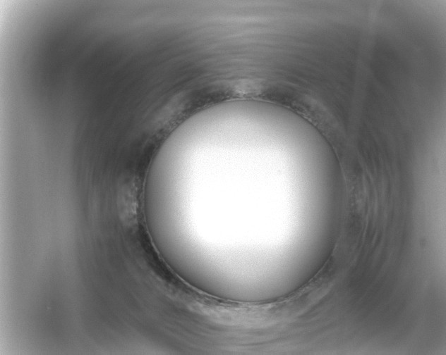 X0000054450032200508051936