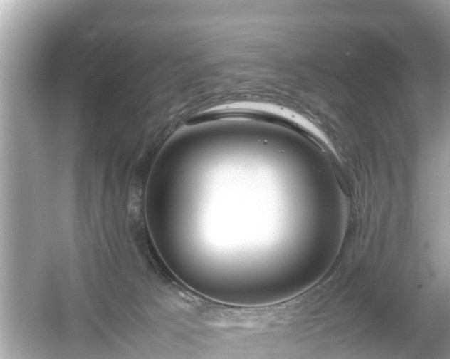X0000054450033200508051936
