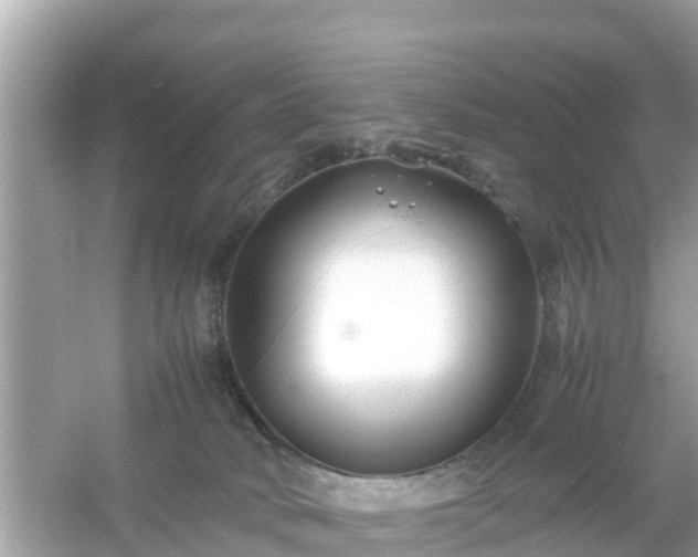 X0000054450034200508051936